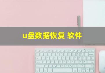 u盘数据恢复 软件